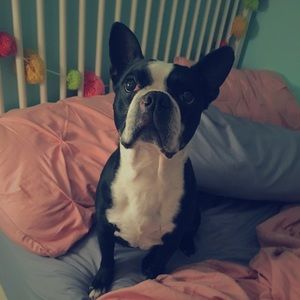 Meet your Posher, Aabby